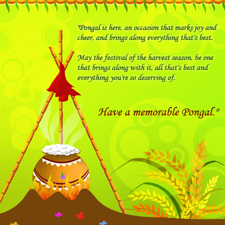 Bright&Colorful Pongal