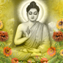 Buddha Purnima