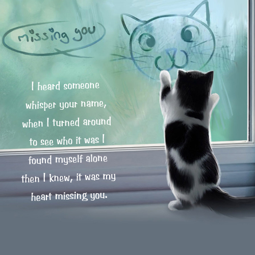 Missing You